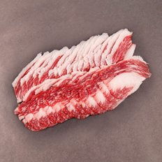 건화한우다 한우 차돌박이 1등급_200g