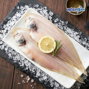 반건조 군산 박대(서대) 왕특 5마리(37-39cm/개별포장)