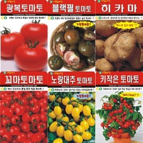 그린가든 AR5 아람 토마토 씨앗 (일반토마토 방울토마토 화분방울토