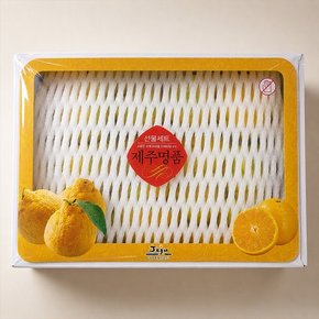 [바로배송] 갓따온 제주 황금향 선물세트 2.5kg 대과 7-12과