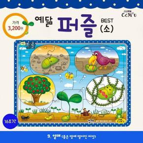 열매  소    16조각  좋은 땅에 떨어진 씨앗   예닮 퍼즐 소 중 9_P367566400