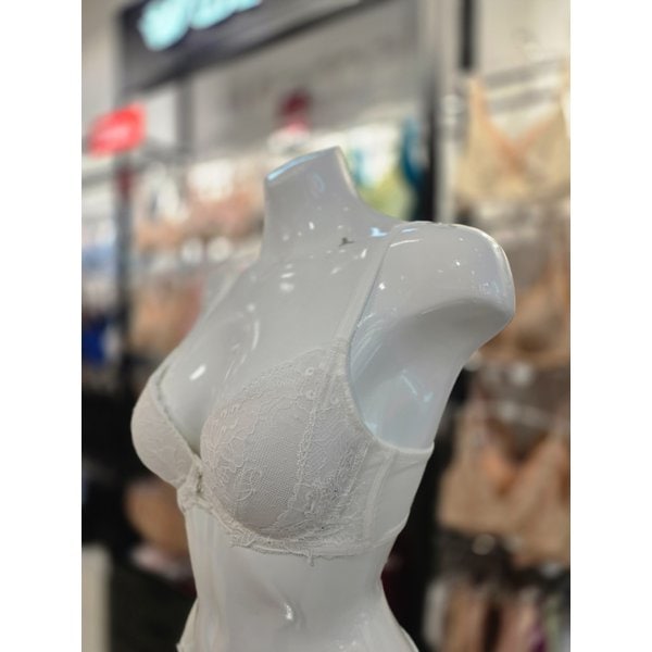 [시흥점] S 비너스 ) FY24AW 감각 블랙라벨 몰드 브라 [VBRB639-WH]