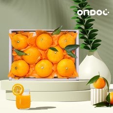 [바로배송]제주 황금향 선물세트 1.5kg 7-9과내외(중과)