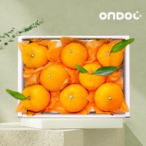 [바로배송][온도씨]제주 황금향 선물세트 1.5kg 7-9과내외(중과)