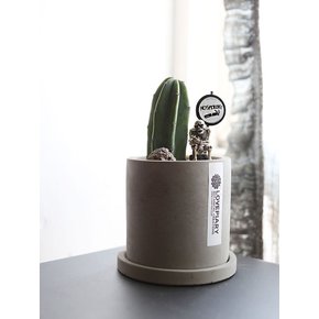 금연을 위한 오브제(No Smoking Pot) 선인장 미니 다육 화분