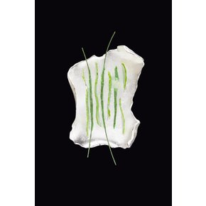 Rhizome Objet Brooch - Green