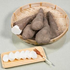 마사토 안동마 1kg 산마 국내산 참마 상등급 햇마 산지직송 (S45033993)