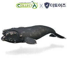 남방참고래