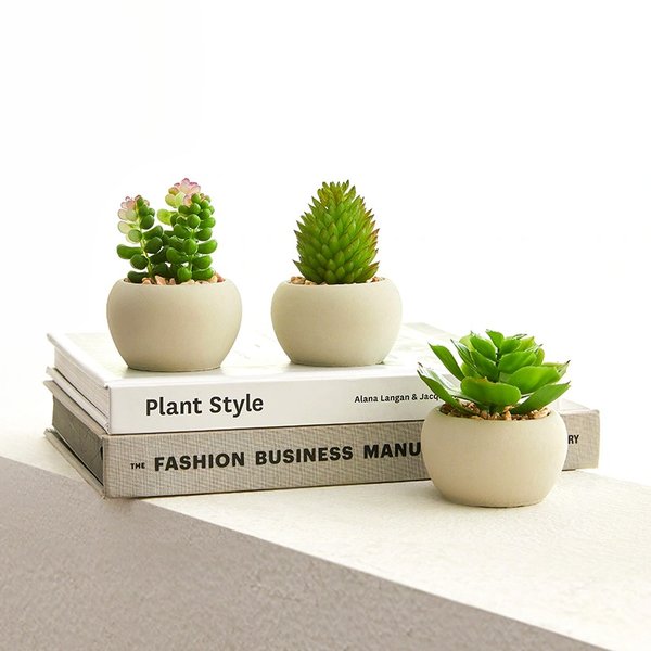 그리니 미니다육팟 3P (컬러 택1)