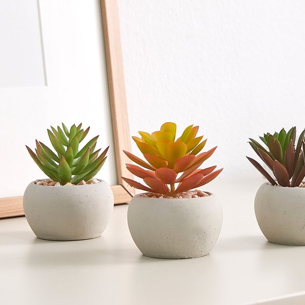 그리니 미니다육팟 3P (컬러 택1)