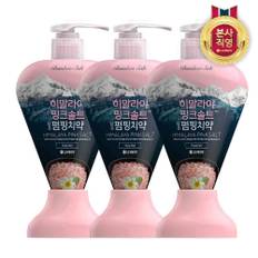 히말라야핑크솔트 펌핑치약 플로럴 285g x 3개