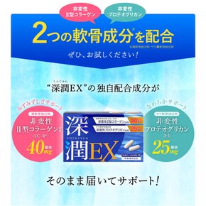 EX [ ] Amazon.co.jp 심윤 (30립약 1개월분) 연골 성분 배합 사프리 프로테오글리칸 2형 콜라겐