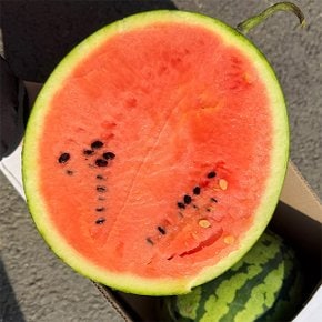 늘푸른 국내산 하우스수박 4.5kg