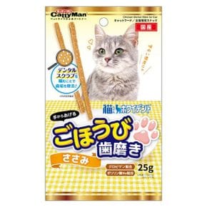 캐티맨 고양이 냥덴탈 스크럽 스틱