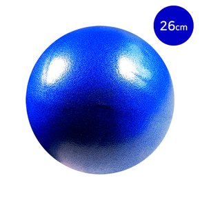 4500 소프트미니볼26cm(SP)-블루
