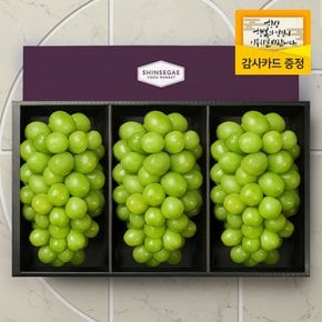 [9/12일 오전8시 주문마감][산지직송] 씨에스타 1호 과일 선물세트 샤인3입 1.9kg (보자기 포장)