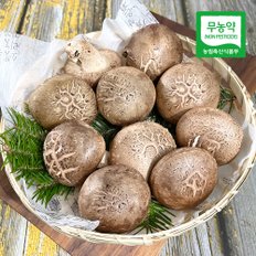 [산지직송] 부여 무농약 표고버섯(향신) 1kg