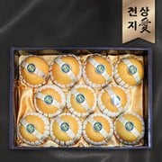 [1월13일부터순차출고][천상지愛]나주배 과일 선물세트[之愛] 11~13과[7.5kg]