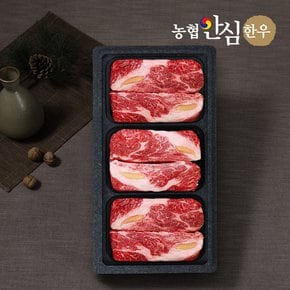 [바로배송][냉장][농협안심한우] 등심 500g x 3팩 /총1.5kg