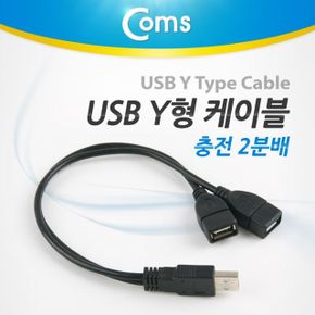 Coms USB Y형 케이블충전 2분배