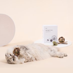 [두잇] 고양이 캣닢 장난감 마따따비볼 딜라이트 박스