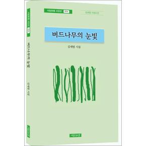 버드나무의 눈빛 (시담포엠 시인선 4)