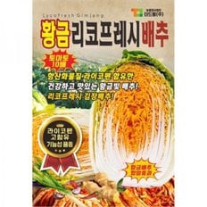  [200립x10EA] 황금리코프레시김장 배추씨앗 배추종자 / 라이코펜 다량함유 황금배추종자