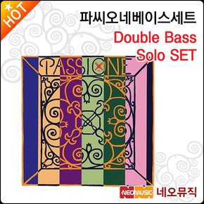 파씨오네베이스현세트 Passione Double Bass Solo SET