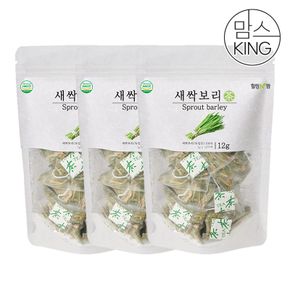 가고파힐링푸드 새싹보리차 12티백 X 3개[33213563]