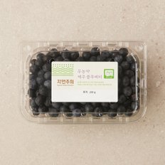 친환경 제주 블루베리 200g/팩