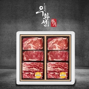 1+등급 특선 숙성한우 멀티박 선물세트 3호(꽃등심400+채끝400+갈비살400)총 1.2kg/팩당 200g/냉장