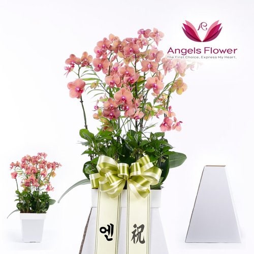 상품 이미지1