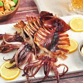 쫄깃한 구룡포 반건조 오징어 5미 (550g)