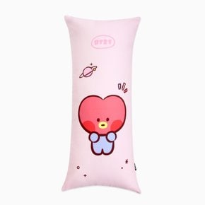 BT21 미니니 타타 바디필로우