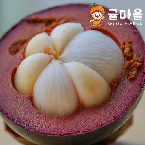 추가5이미지