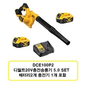 DCE100P2 충전20V충전송풍기 5.0배터리2개충전기1개 블로워