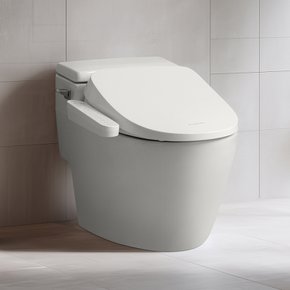 인스퓨어 실속형 IPX5 방수 비데 CBT-R1321W