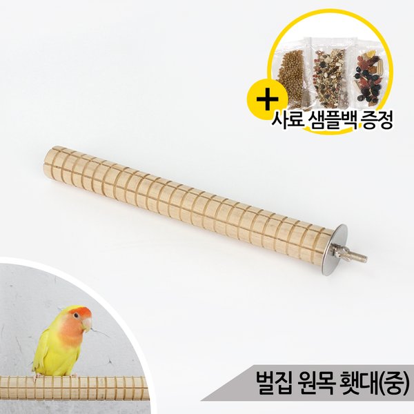 확대된 대표 이미지1