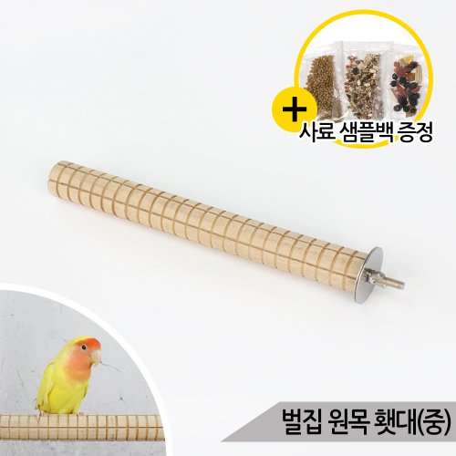 이미지1