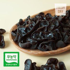 국내산 무농약 프리미엄 생 목이버섯 정품 3kg