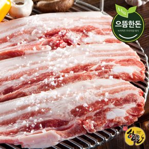 국내산 한돈 냉장 삼겹살 500g (구이용)