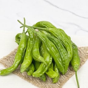 특품 햇 꽈리고추 장아찌용 안매운고추 꽈리볶음 100g (1봉)
