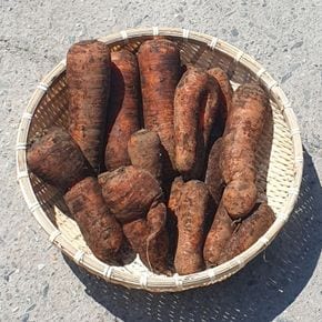 오늘의채소 쥬스용 못난이 흙당근 5kg[35049811]