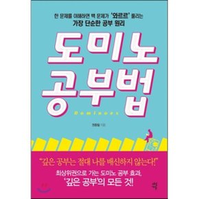 (중고/상)도미노 공부법 : 한 문제를 이해하면 백 문제가 ‘와르르’...