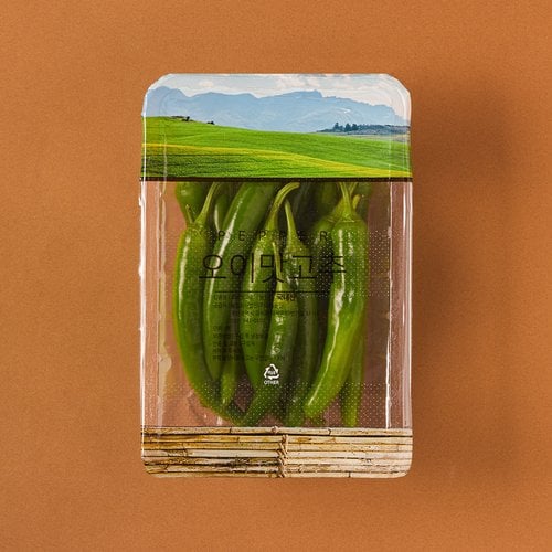 오이맛고추 (팩)
