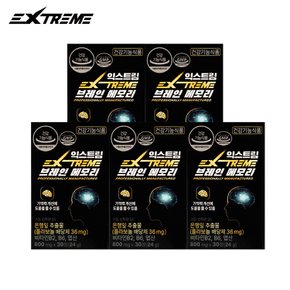 뇌건강 브레인메모리 800mg X 30정 / 5박스 (5개월분)