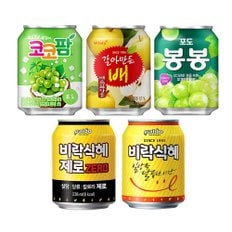  미니뚱캔 5종 비락식혜/비락식혜 제로/포도봉봉/갈아만든 배/코코팜 12캔 선택