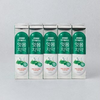 2080 진지발리스 치약 메디플러스 150g x 10개