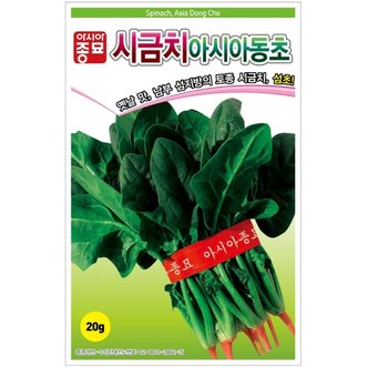 아시아종묘 시금치종자씨앗 아시아동초 시금치(20g) 월동시금치