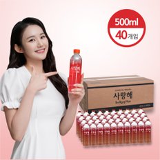 프리미엄 경도300 해양심층수 골드 500ml 40EA 미네랄워터 광천수 안전한생수 알칼리수 천연수  물